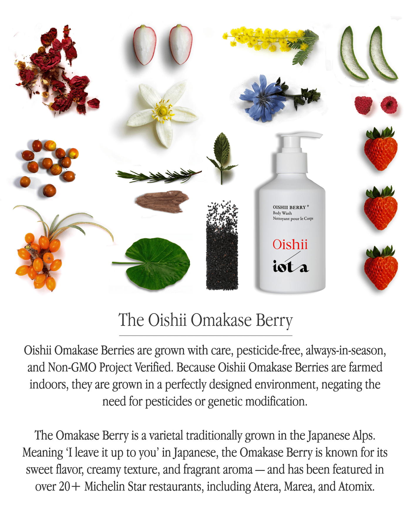 Oishii Berry Body Wash+