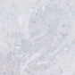 Barrier Glass Gel Cream