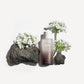 Black Rice Hyaluronic Toner