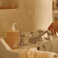 Amber 528 Scented Hand & Body Wash