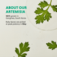 Artemisia Soothing Toner