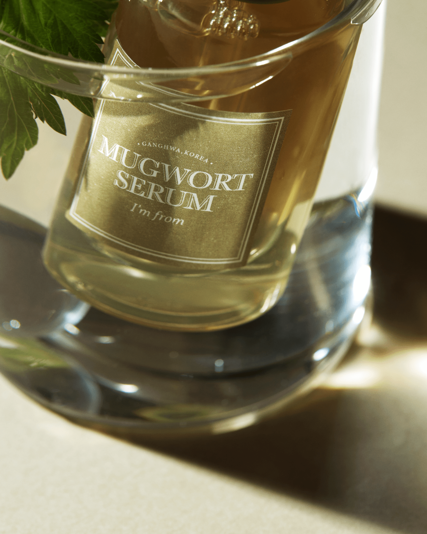 Mugwort Serum