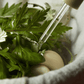 Mugwort Serum