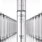 XMD Stem III Clinical Recovery Serum