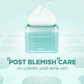 Madecassoside Blemish Pad