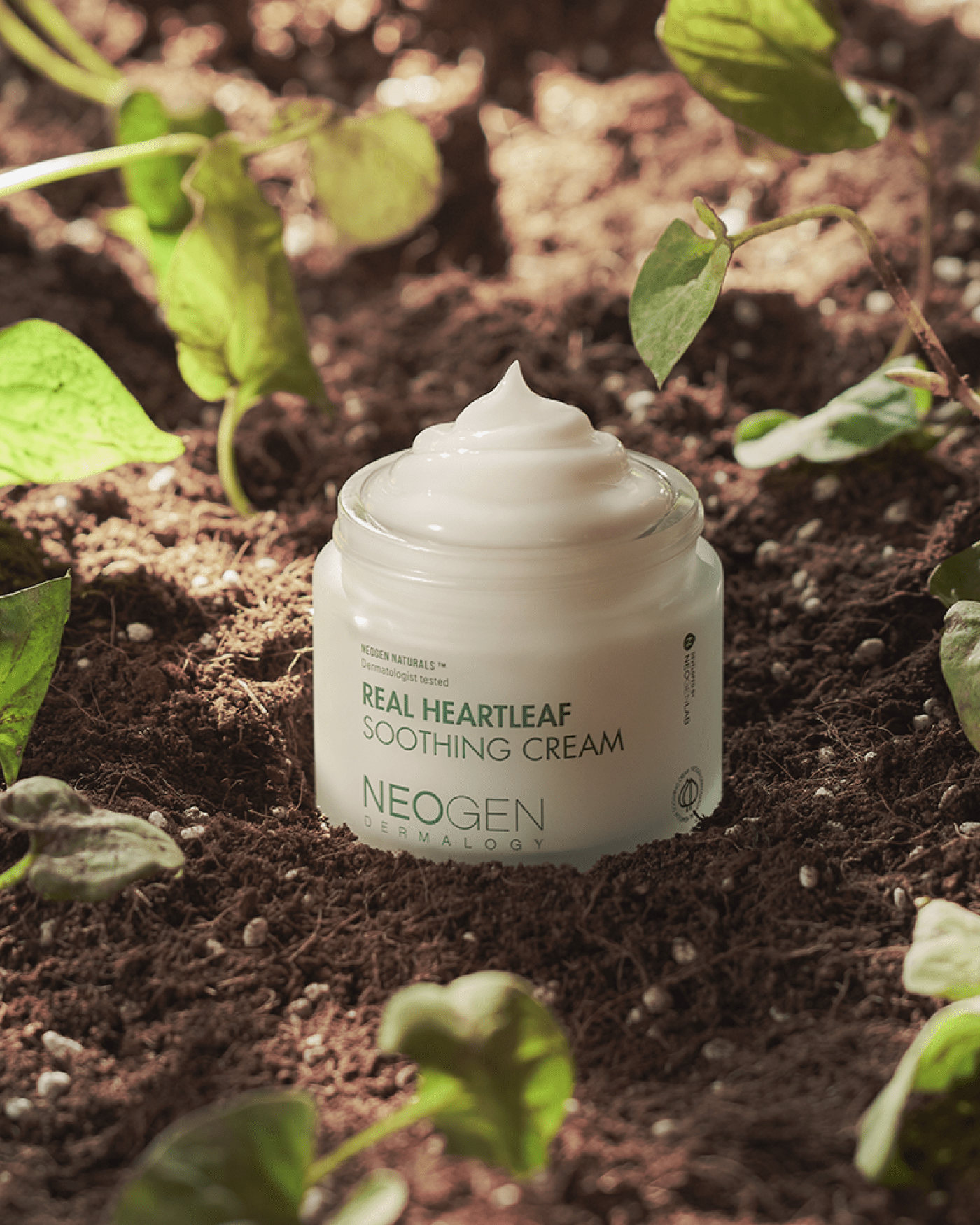 Real Heartleaf Soothing Cream
