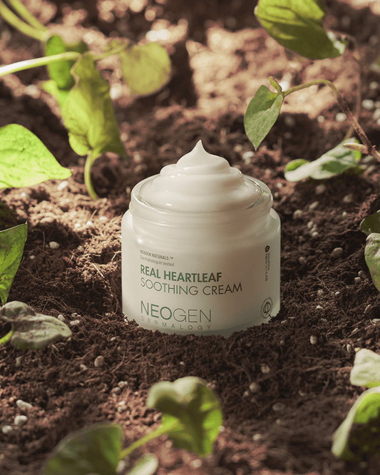 Real Heartleaf Soothing Cream
