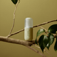 Vitamin Collective Vitality Elixir